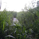 Apartman Belle - Rose