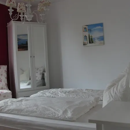 Belle - Rose * Daschow