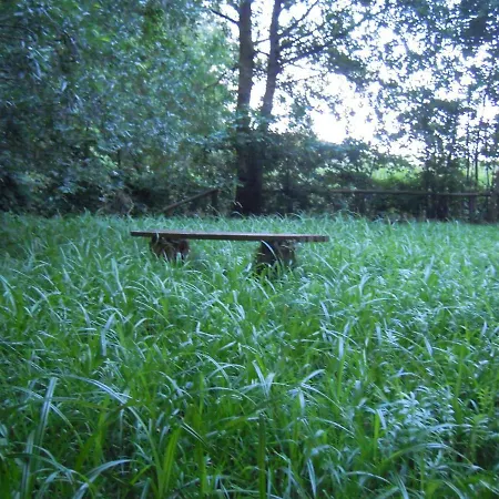 Διαμέρισμα Belle - Rose