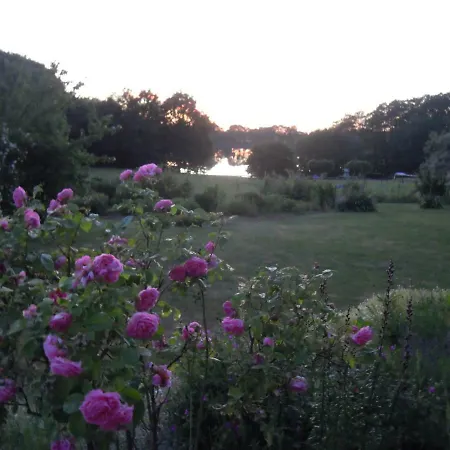 Belle - Rose * Daschow