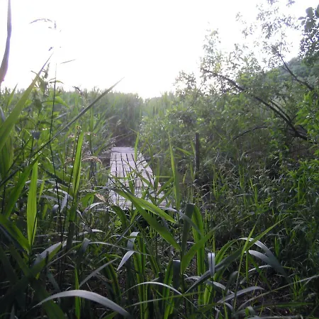 Διαμέρισμα Belle - Rose