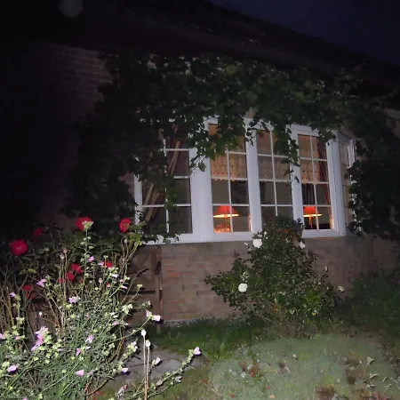 Lejlighed Belle - Rose