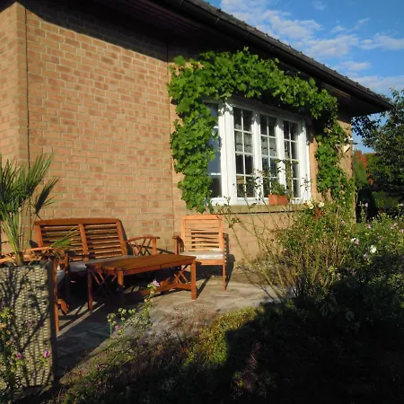 Belle - Rose * Daschow