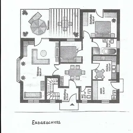 Belle - Rose Daschow