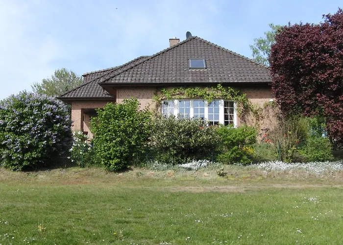 Belle - Rose Daschow