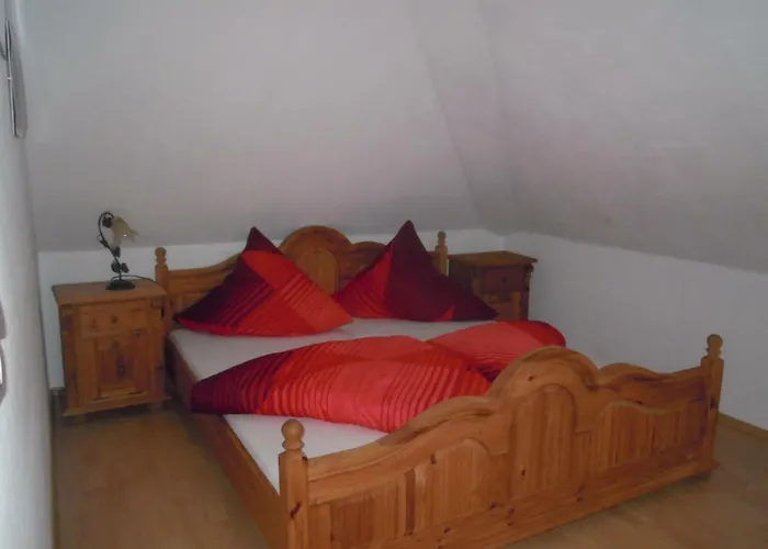 Belle - Rose * Daschow